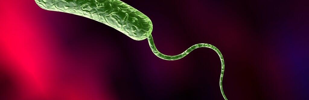  ����� ������ ������ ��������� ��������� ������������ 