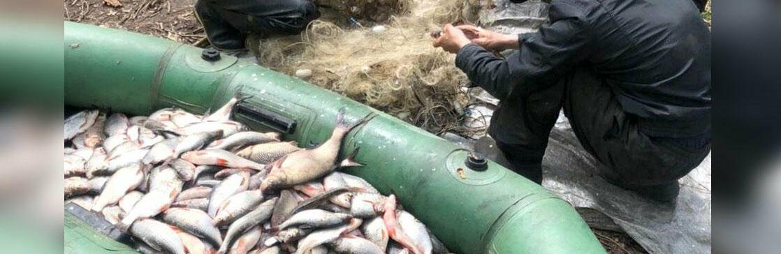  ������ ������� ������� ���������� ��� 