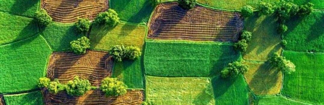  �������� ������ ���������� �������� �������� ������������������ ������������ ���� 