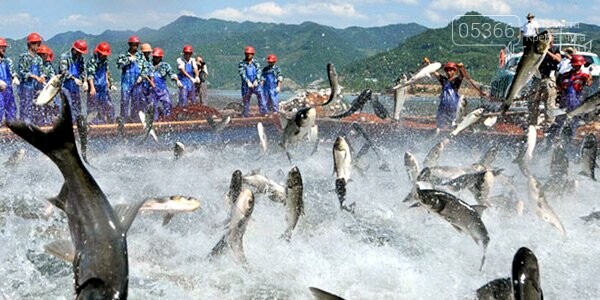  ��������� ���� ����������� 