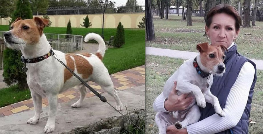  ������������� ������ �������� ����� ��������� �� ��� ������� 