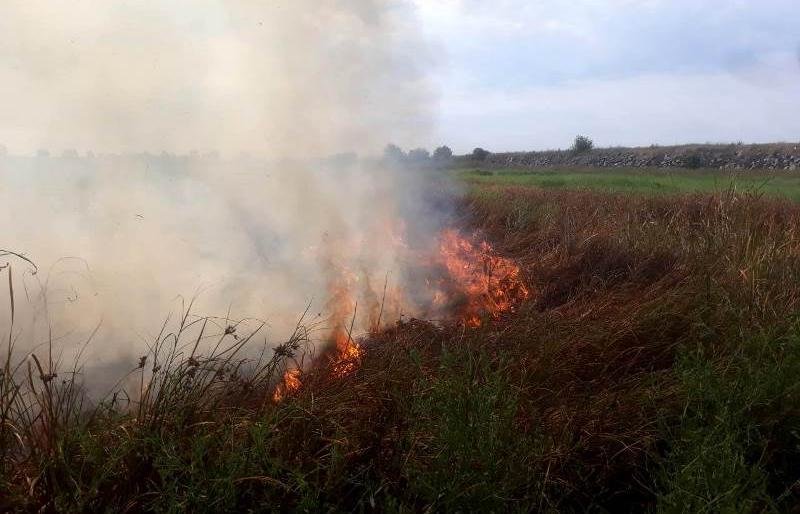  ������������� ������ ��������� ������-���������� ����������� 