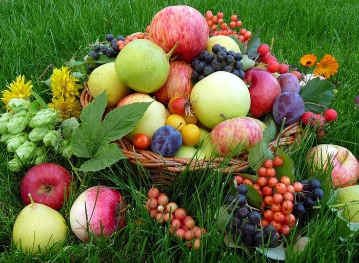  ���� ������ ���� ����� ���� 