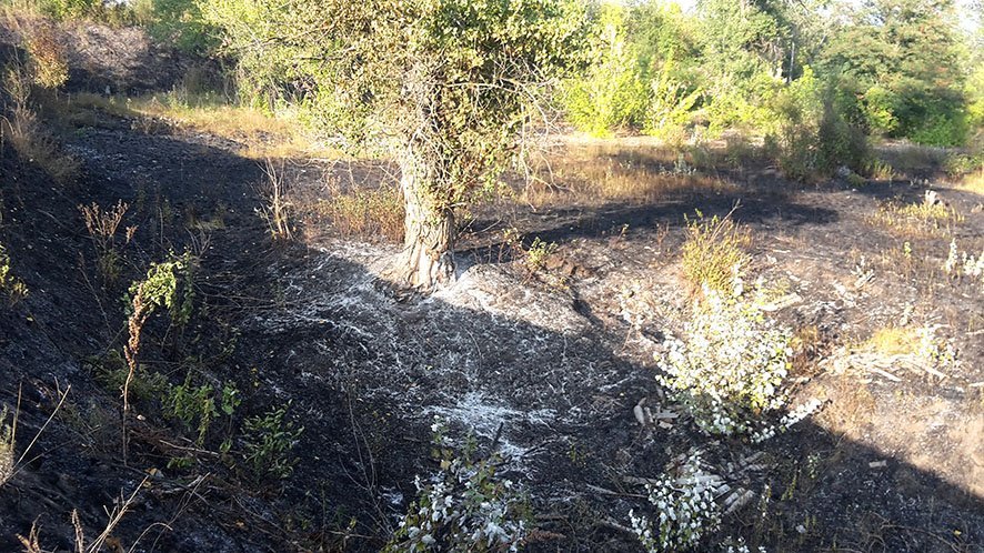  ���������� ������ ������ ����� ��� �������� ��������� 