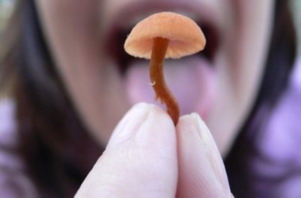 ����: 05366.com.ua