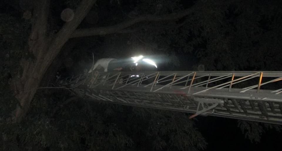  ���� ����� ���� ������ ������������ ������������� ������ ���� 