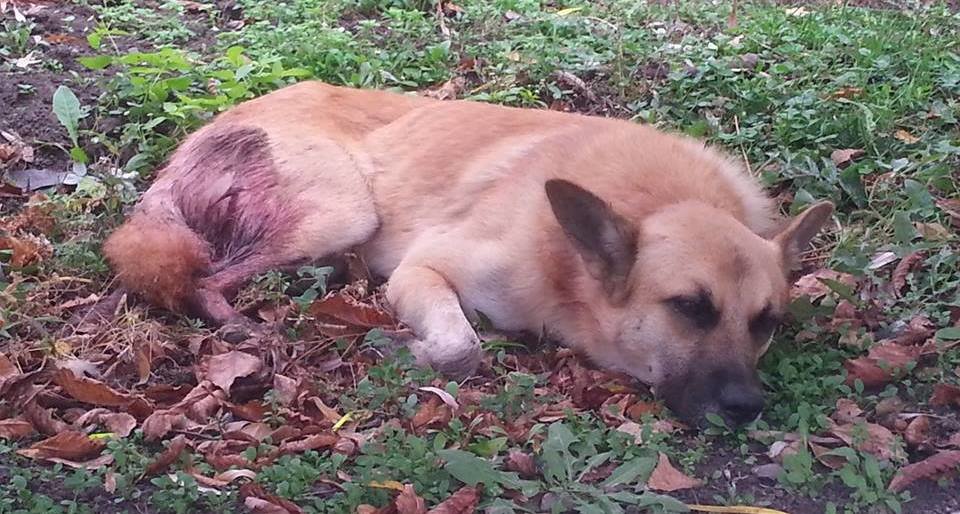  ������� ���������� ������� ��� ��� ���� ��� 