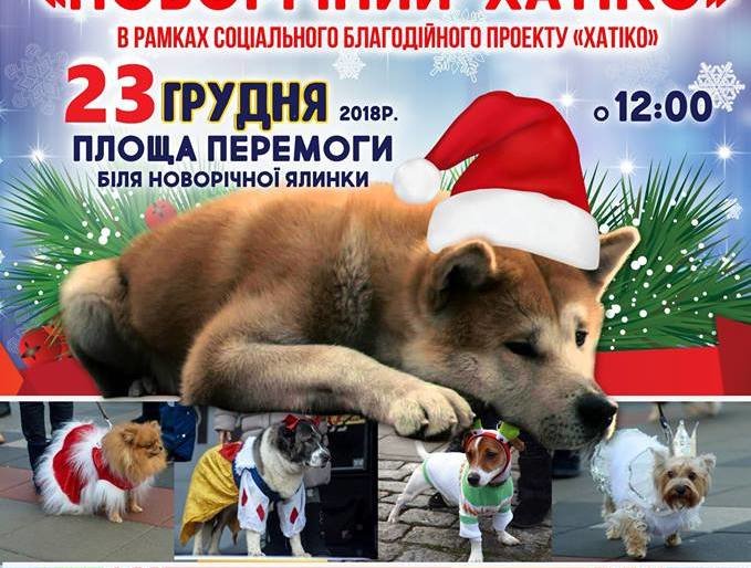 ����: 05366.com.ua