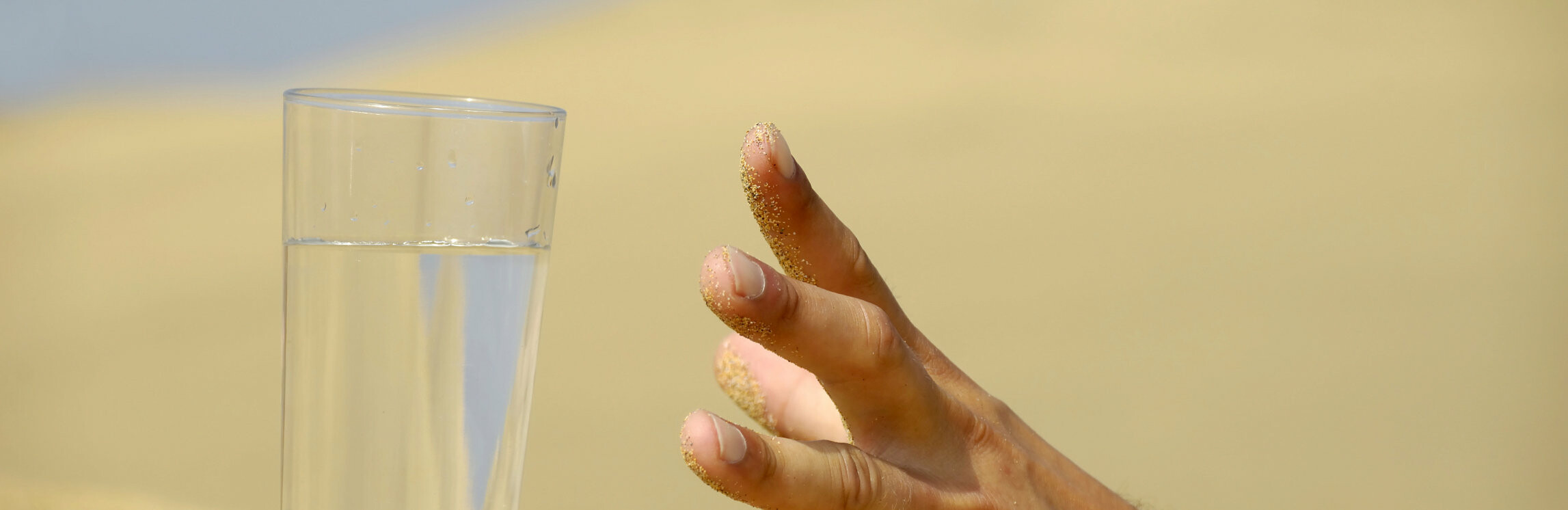  ����� ������� ������������ ����� ��������� �������������� 