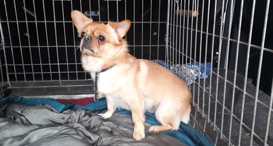  ���� �������� ��������� ������ ������ �������� �������� 