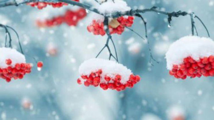  ���� ���� ������ �������� ���� 