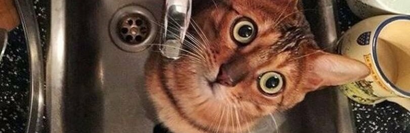  ���������� ���� �������������� 