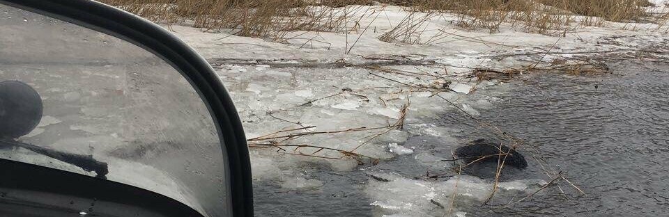  ����������� �������� ������� ������ ��������� ������ ������� 