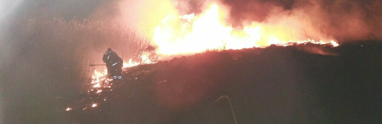  ���������� �������� ������������ ����� 