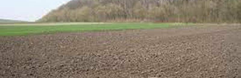  ����������� ������ ������� 215 ���� ����� ��� �������� 