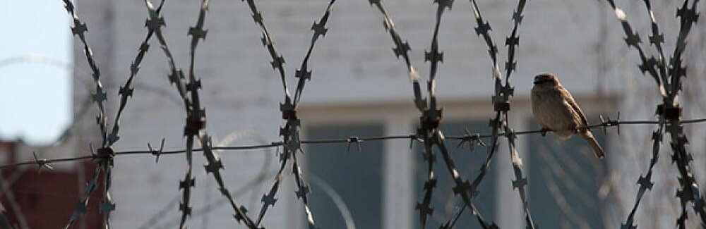  ����� ������ ������� ������� ����������� ��� ���������� 