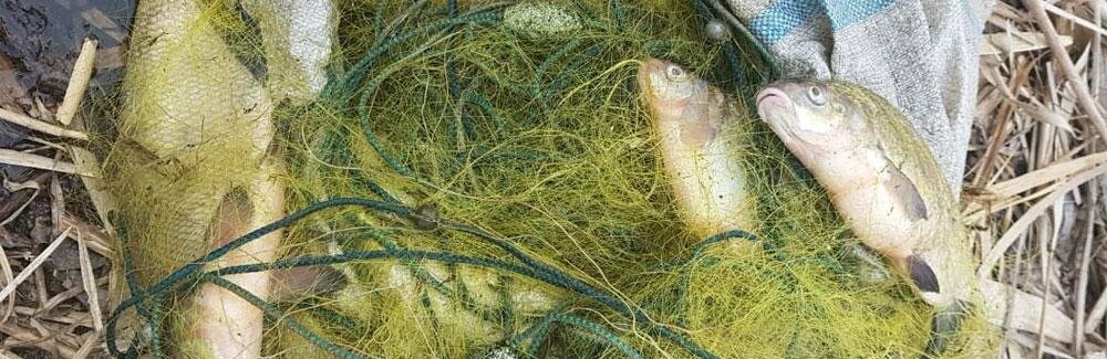  ��������� ����� �������-������� ������ ���� ������ ����������� 