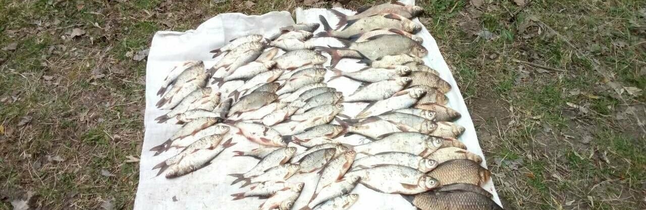  ��������� ���� �������-��������� ������ ���� ������ ����������� 