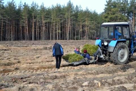  ������ �������� ���� �������� ������ ������� ���������� 