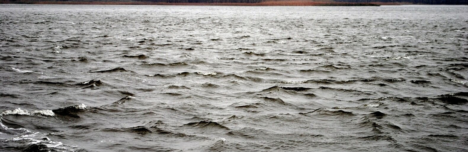  ����� �������� ���� ��������� ������ ������� 