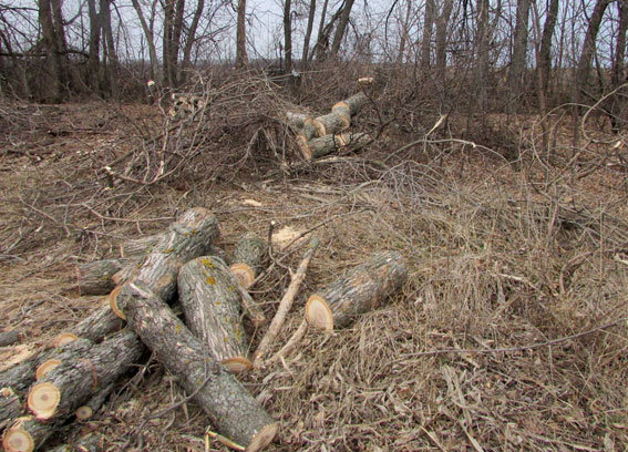  �������� �������������� ������ ��������� ������� ����� 