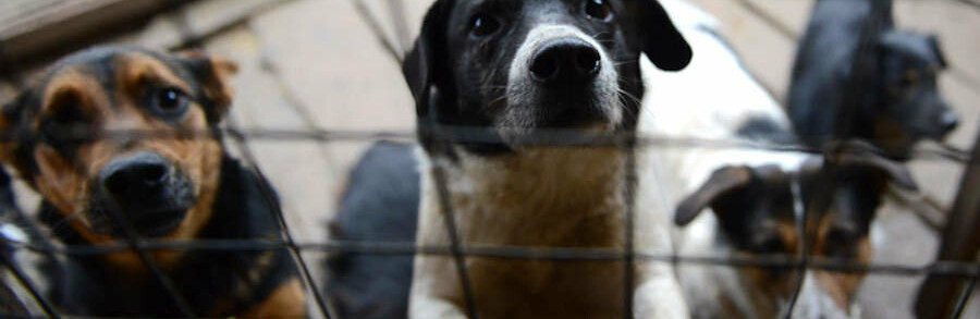  ����������� ��������� ��������� ��� ���� ���������� ����� ��� 