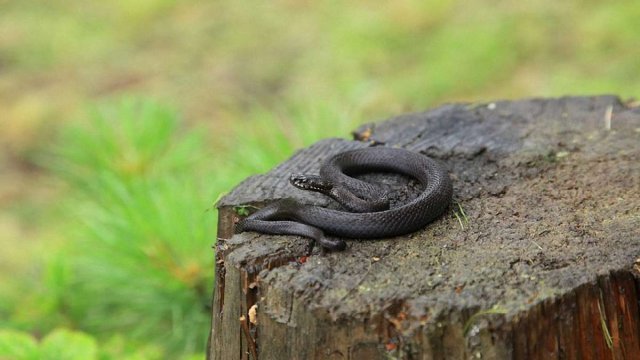 ����: 05366.com.ua