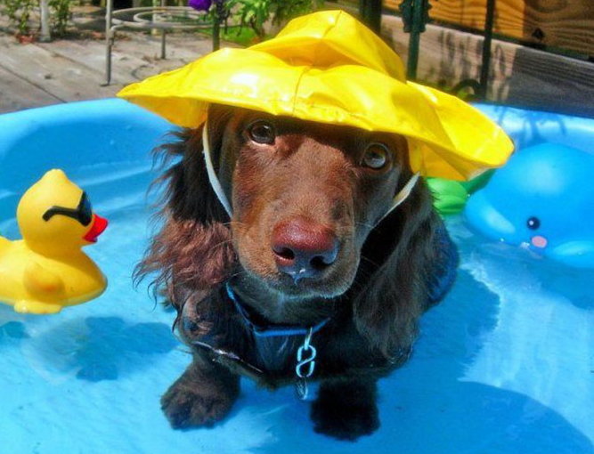  �������� ���� ������ ���� ������ ����������� 