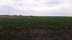  ����������� ���������� ������ ���������� 250 ���� ������ 