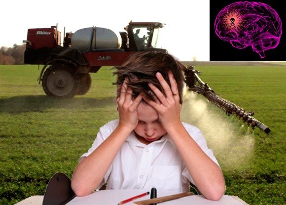 ����: 05366.com.ua