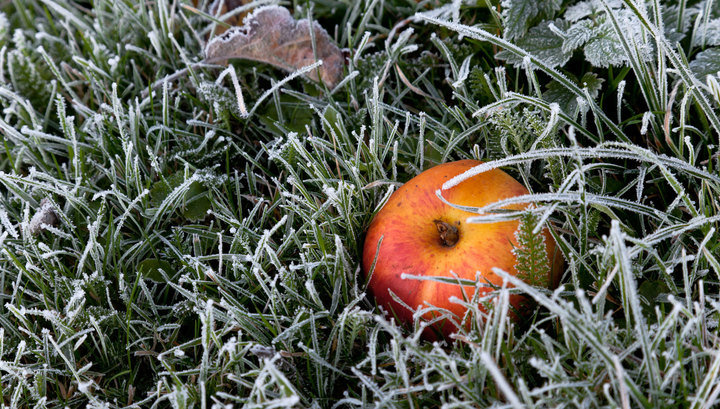 ����: 05366.com.ua