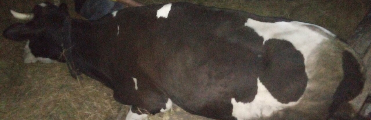  ��������� ���� ����� ���� ��������� ������� ������ ��� 