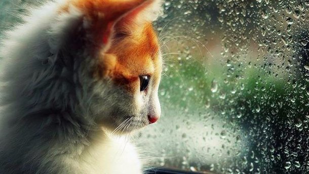  ������� ������ ����� ���������� ���������� 