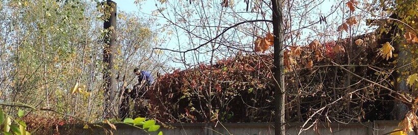 ����: 05366.com.ua