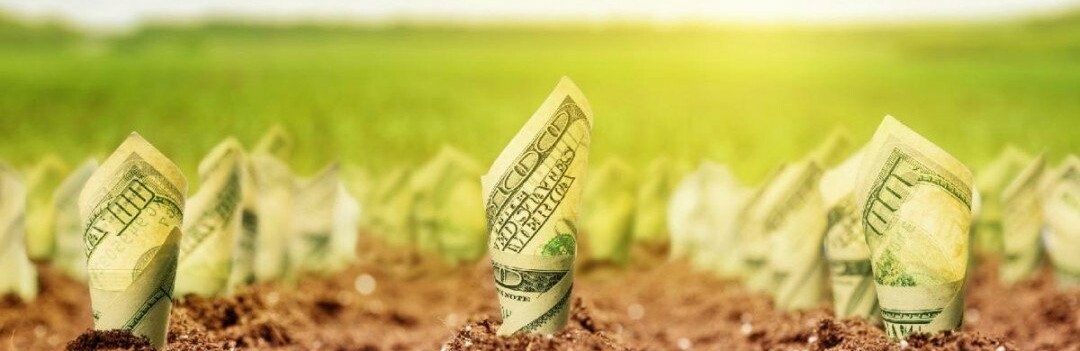  ����������� ������ ���������� 325 ������ ���������� 