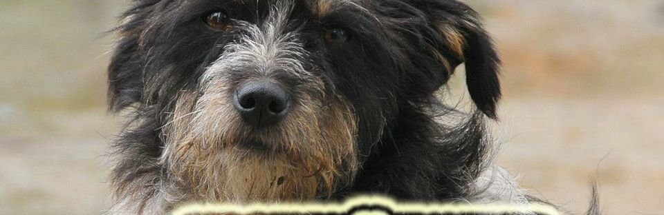  ��������� ������ ������� ���� ���� ������ 