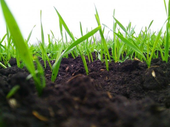  ����� ������ ���� ����� ���������� ������ ��� �������� 