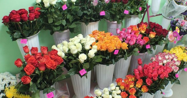  ���� ��� ��-������������ �������� ���� 