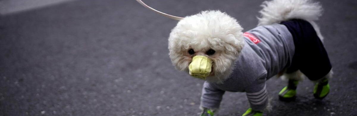 ����: 05366.com.ua