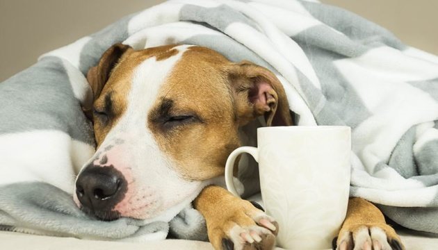  ��� ��� ���������� ��������� ��������� ���� ������ ������������ 