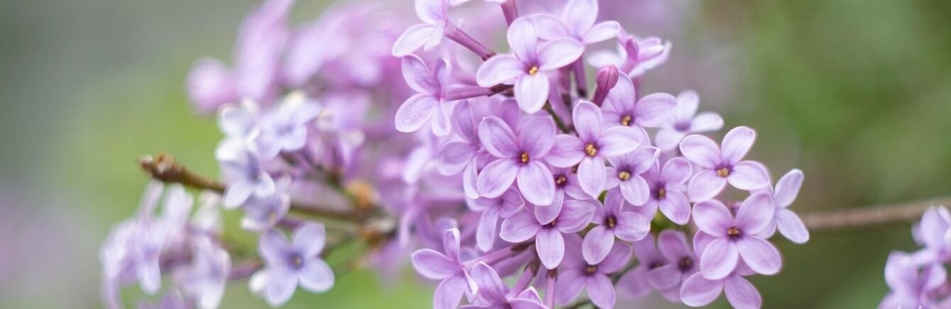  ��� ����� ������ ������� ������� ����� ������ �������� 