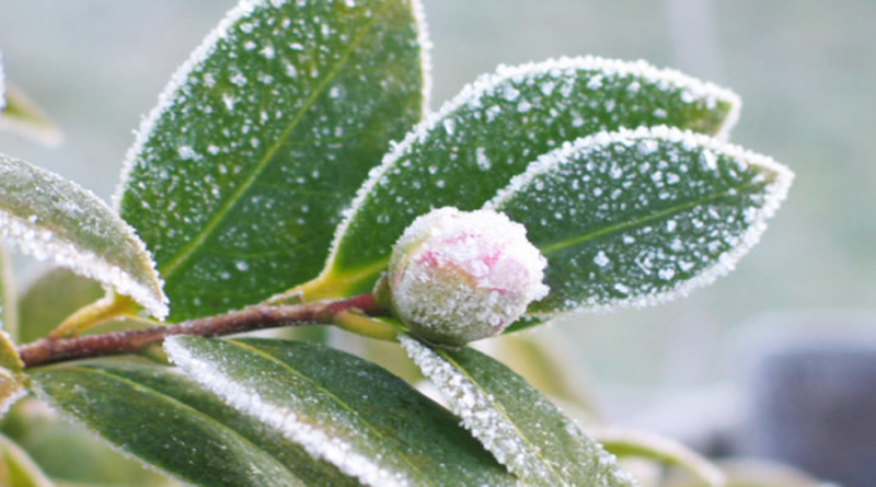 ����: 05366.com.ua