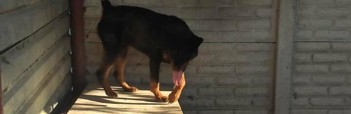  ������ ������� �������� ������ ���� ���� ��� 