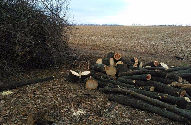  ������� ������ ������� ������ ���������� ���������� ������� ����� 