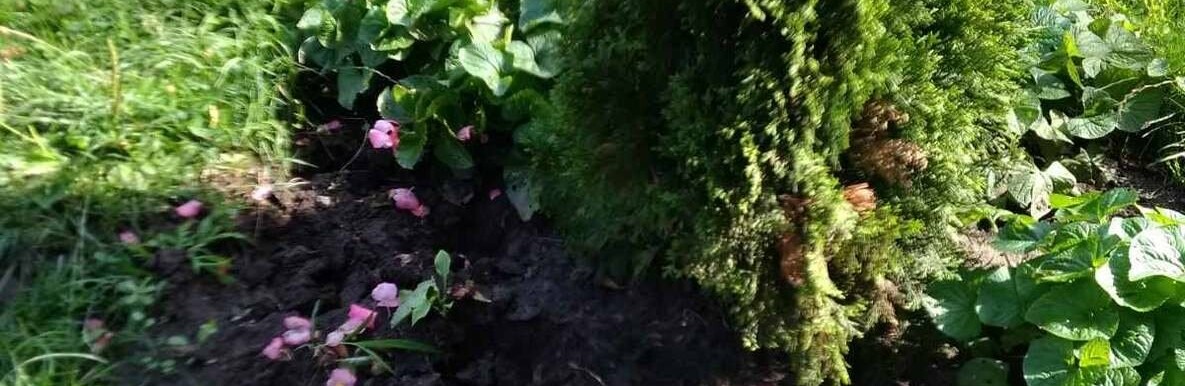  ��������� ������ ������ ��������� ���� 