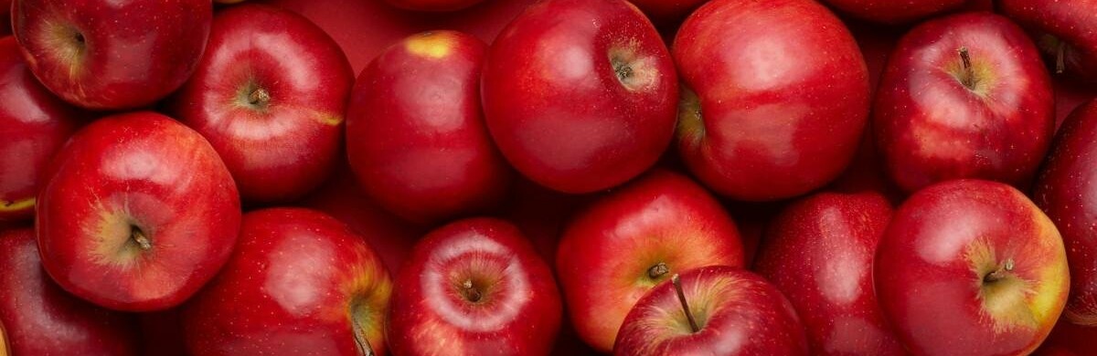  �������� ����� ���� ������� ���� ��� ����� ����� 