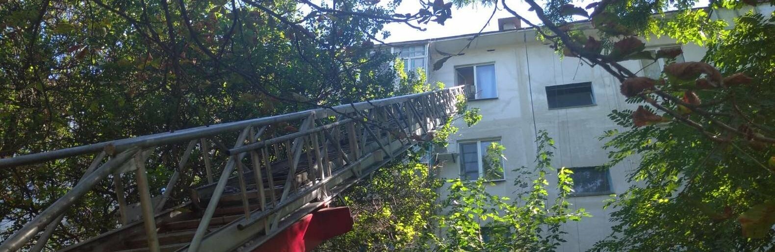  ��������� ��������� �������� ����� �������� 