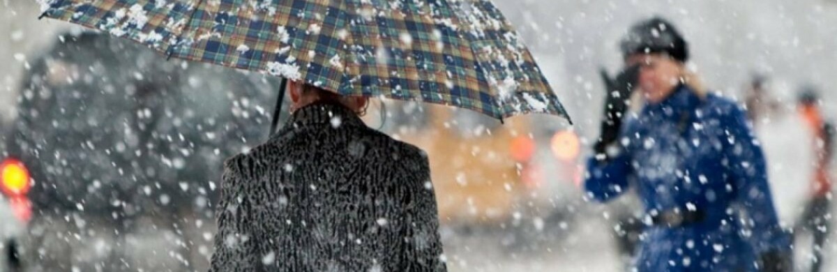  ���� ��� ����������� ������ 