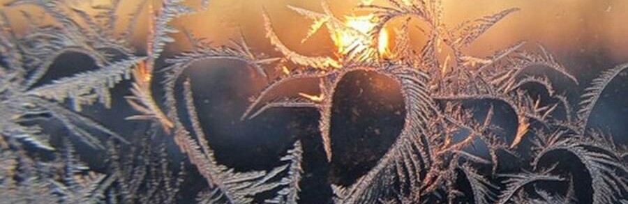  ���� ���������� ������� ���� ������ �������� 