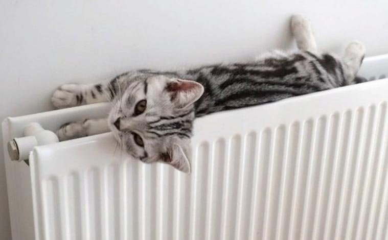  ���� �������� �������� ��������� ��������� 